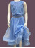 7908231-Blue-Q#